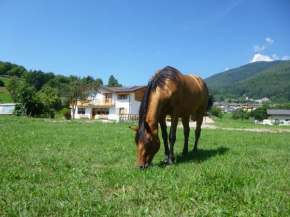  Agriturismo Fattoria Dalcastagnè  Torcegno